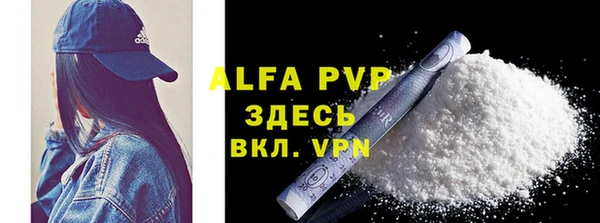 прущие грибы Пересвет