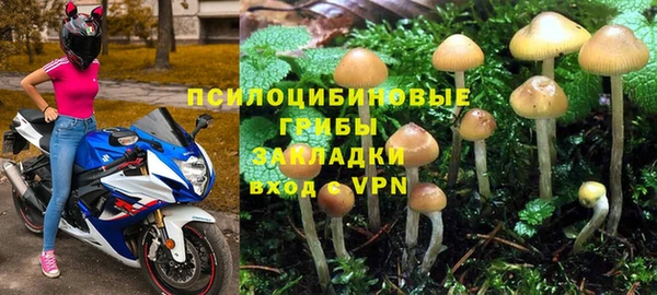 дурь Алзамай